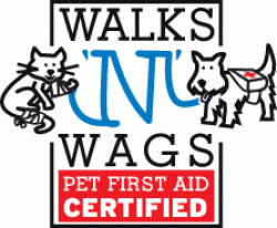 Pet First Aid Certified with Walks 'N Wags. Required to be a responsible Etobicoke dog walker.